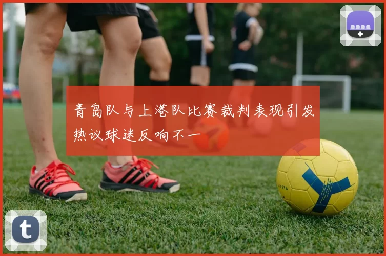 青岛队与上港队比赛裁判表现引发热议球迷反响不一