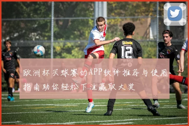 欧洲杯买球赛的APP软件推荐与使用指南助你轻松下注赢取大奖